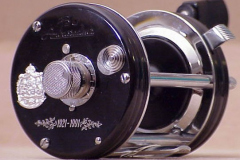 Amb6000C_Jub_01