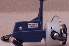 Cardinal_40_01