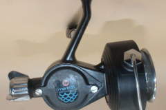 Alga-21-c