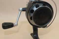 Alga-21-e