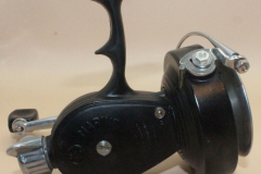 Alga-500-b