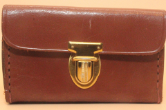 Champion-e